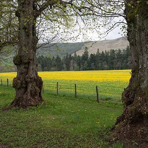 atholl 1 8