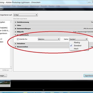 Lightroom4 Bild  verkleinern 07