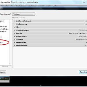 Lightroom4 Vorgaben 03
