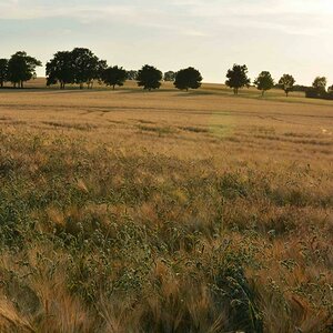 07 07 2013 Wehneberg 15 2
