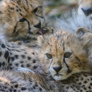 20130810 3573 [NIKON D7100] 400 mm,1 400 Sek. bei ƒ   6,3 2