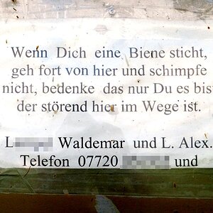 Bienen ;)
