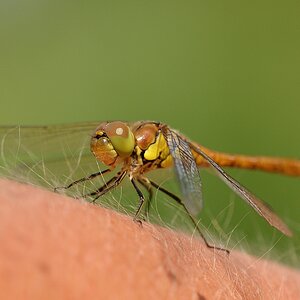 20130810 122757