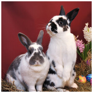 ostern2