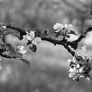 comp DSC 7406 bearbeitet S&W