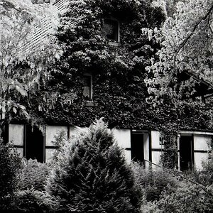 comp img198 bearbeitet