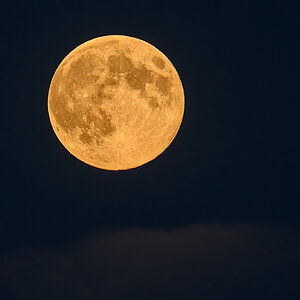 Mond 004