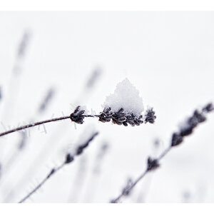winterschlaf1