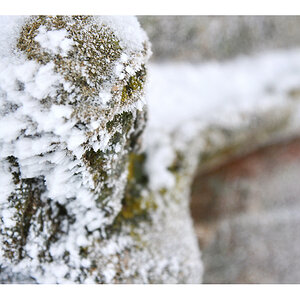 winterschlaf5