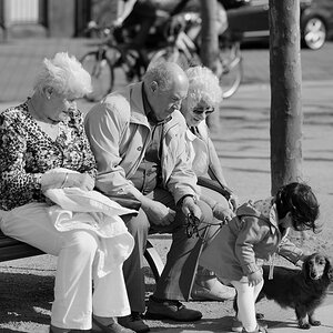 Young and old @ Rheinuferpromenade Düsseldorf 2013