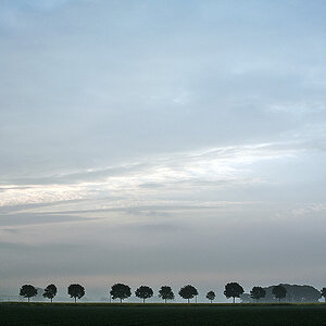Niederrhein DSC 0851