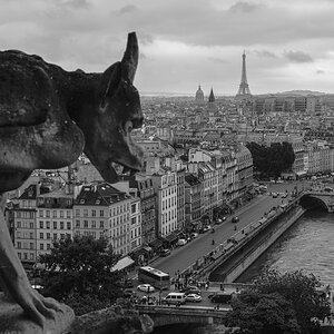 Blick vom Notre Dame