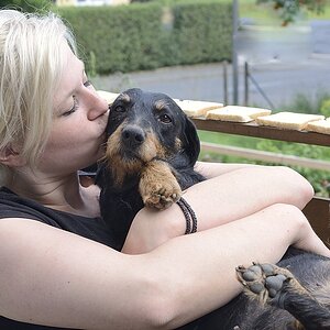 KuschelhundLotte01
