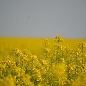 DSC 0076