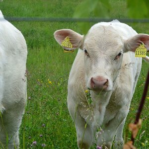 Kopie von DSC 0147