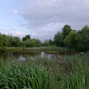 comp Natur 2013 003