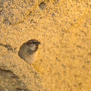 20130523 DSC 2509