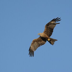 comp DSC 8345 bearbeitet
