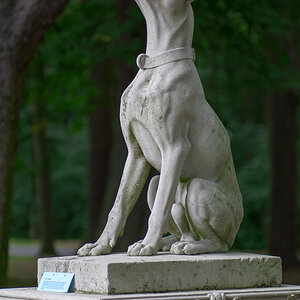 20130720 DSC01216