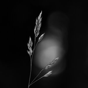 20130626 151022