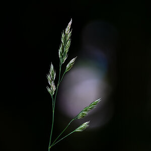 20130626 151022 2