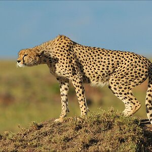 aaacomp Kenia 20111016 14542