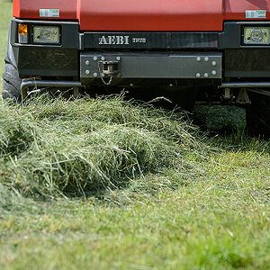DSC 1428kws