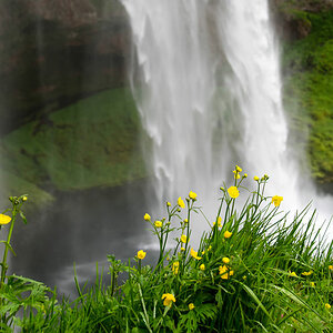 seljalandsfoss