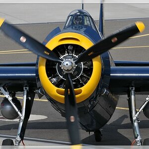 Grumman TBM-3E "Avenger" - 02