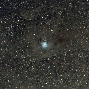 Irisnebel