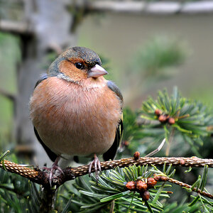 DSC 9843 khg