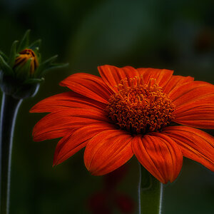 20130813 0007 NX 1024Px