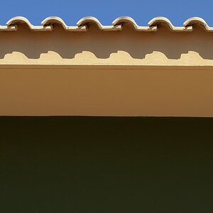 DSC 0800