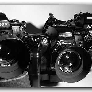 KR DSC 1726 sw 1