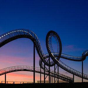 1306 Tiger und Turtle 6
