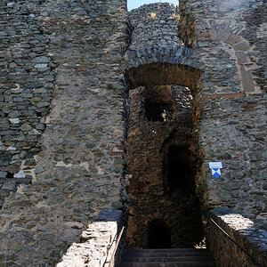 Trier 2013MOL 2790 9447