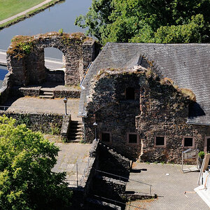Trier 2013MOL 2796 9453