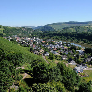 Trier 2013MOL 2797 9454