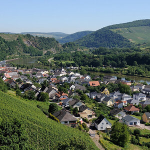 Trier 2013MOL 2798 9455