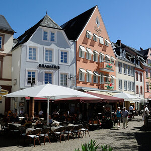 Trier 2013MOL 2813 9470