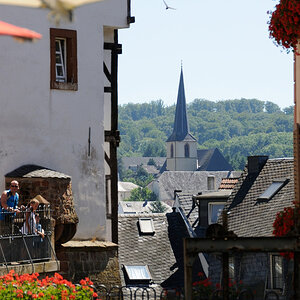 Trier 2013MOL 2818 9475