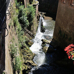 Trier 2013MOL 2821 9478