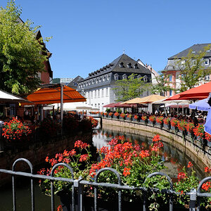 Trier 2013MOL 2822 9479
