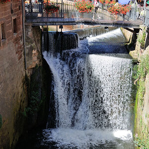 Trier 2013MOL 2830 9487