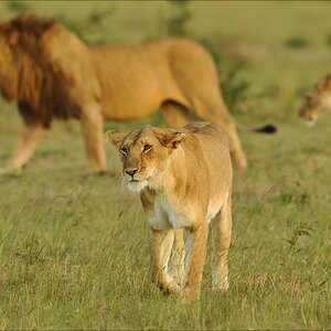 aaacomp Kenia 20111015 11283