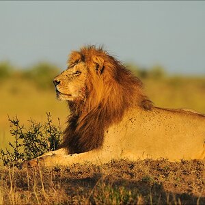 aaacomp Kenia 20111019 21476