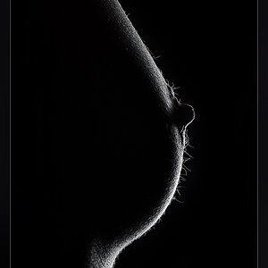 Bodypart