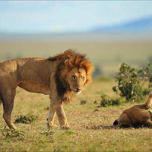 aacomp Kenia 20111015 10618
