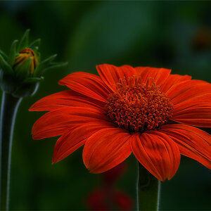 20130813 0007 NX Version2 1024Px