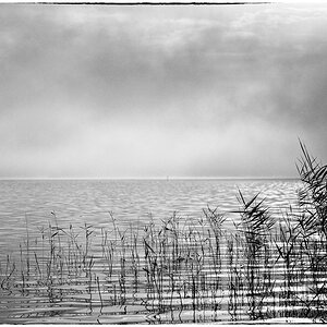Lac PZ13492